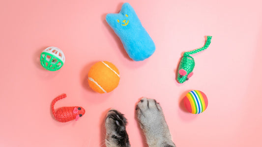Unleash The Fun: Choosing The Perfect Toy For Your Furry Friend