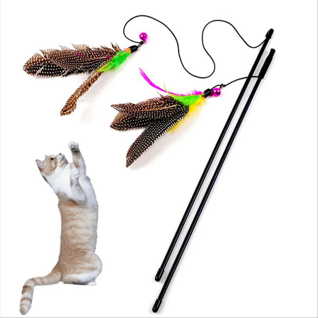 Colorful Feather Wand with Ball and Mouse Cage