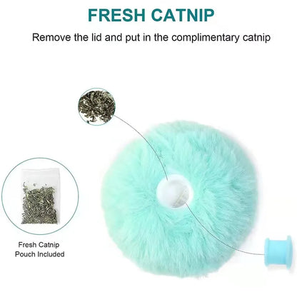 Interactive Catnip Ball