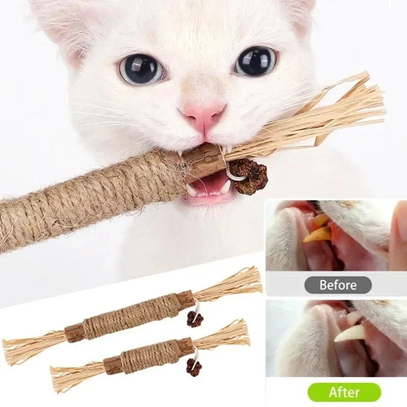 Silvervine Chew Stick Catnip Toys for Dental Cleaning