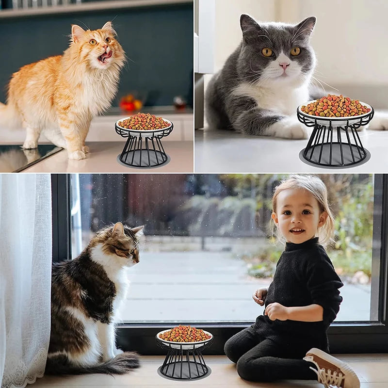 Elevated Bowl with Metal Stand