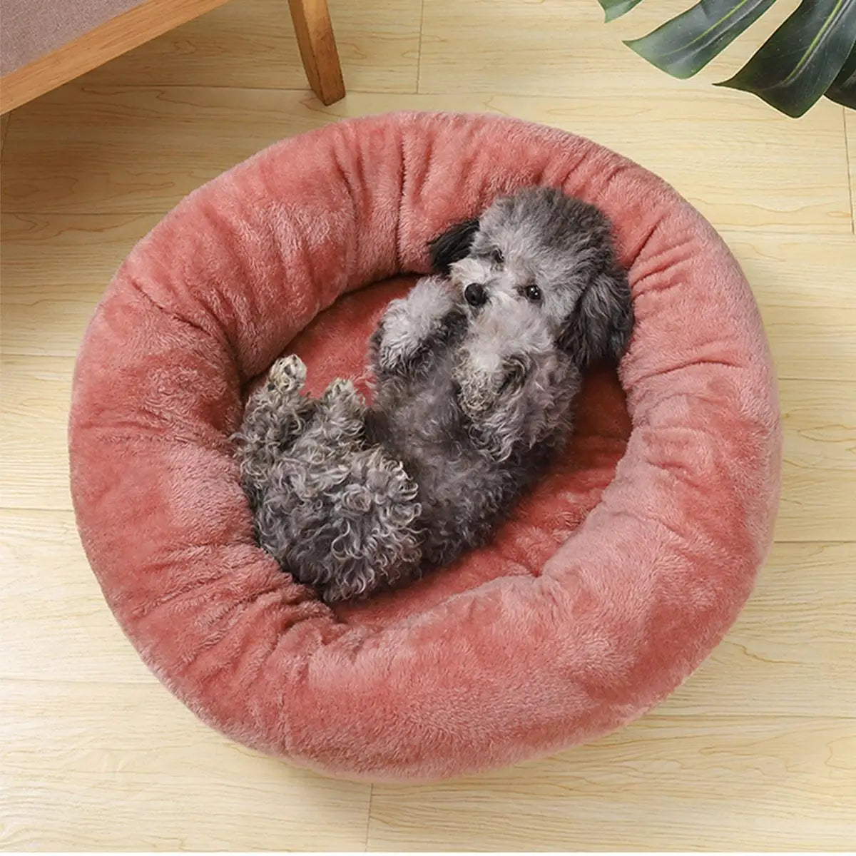 Ultra Soft and Washable Round Donut Bed