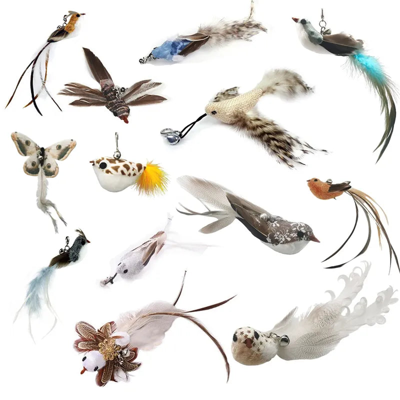 Interactive Bird/Feather