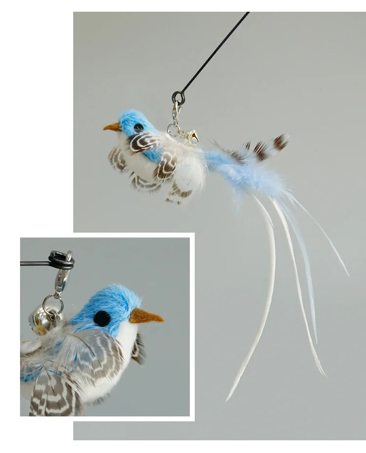 Interactive Bird/Feather