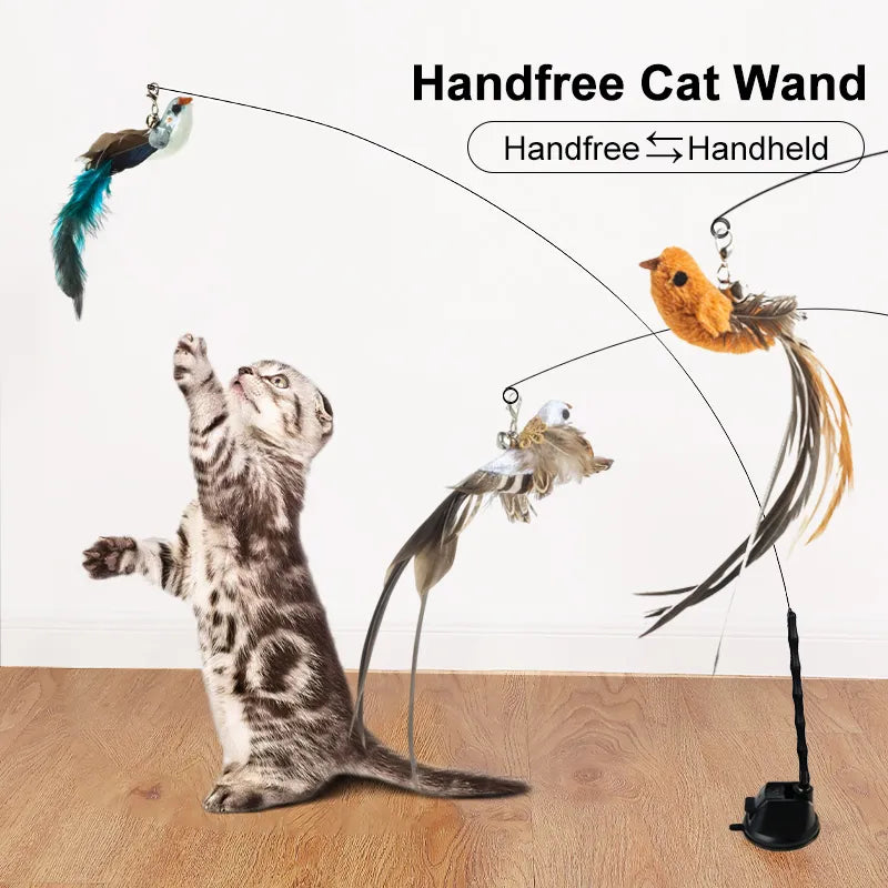 Handfree Bird Feather Cat Wand with Bell